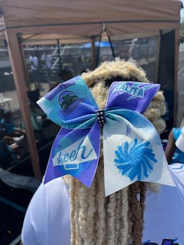 Custom cheer, dance or competition bows