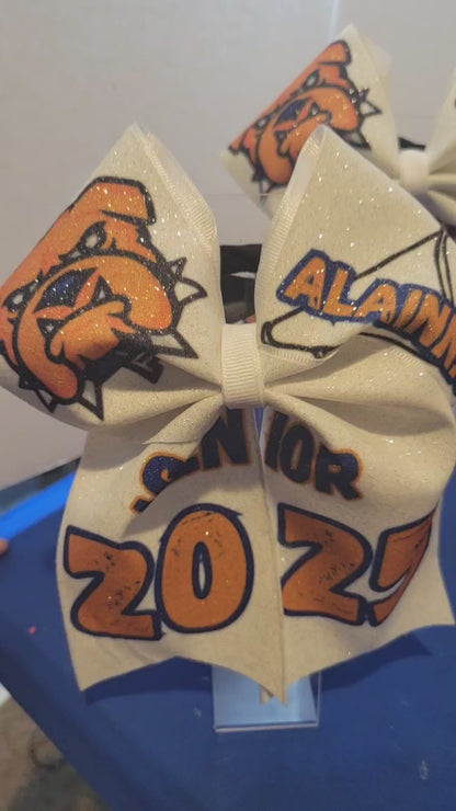 Custom cheer, dance or competition bows