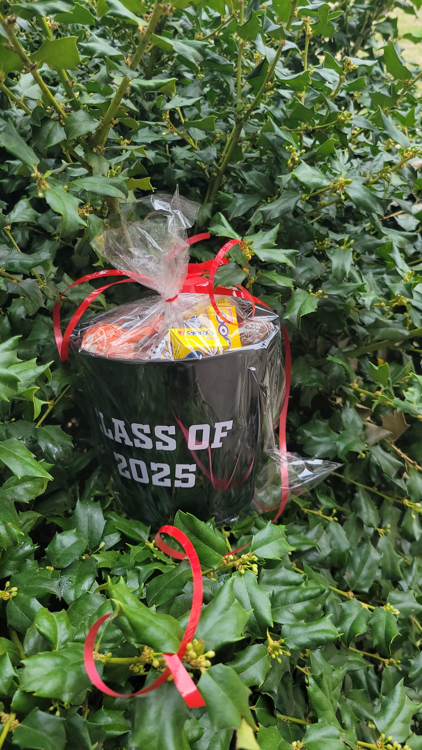 2026 Senior/ graduate treat boxes